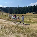 Eco Art Of Living - еко къщи изкуството да живееш Pamporovo