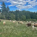 Eco Art Of Living - еко къщи изкуството да живееш *