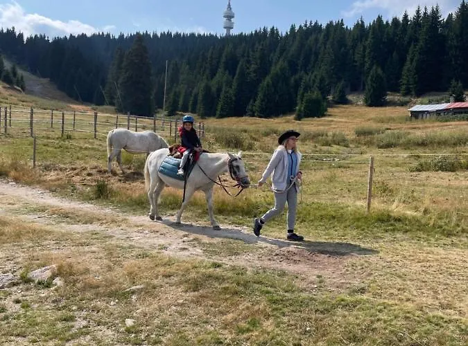 Eco Art Of Living - еко къщи изкуството да живееш Pamporowo