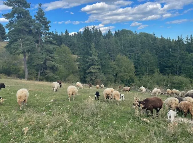 Eco Art Of Living - еко къщи изкуството да живееш *